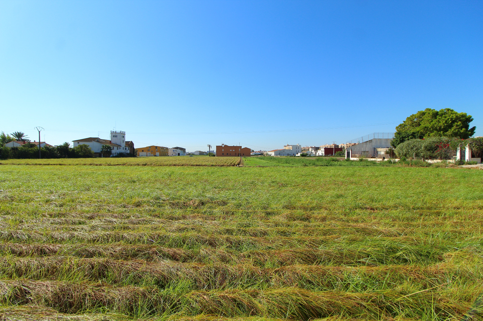 WhatsApp-Image-2021-07-12-at-18.14.18-1