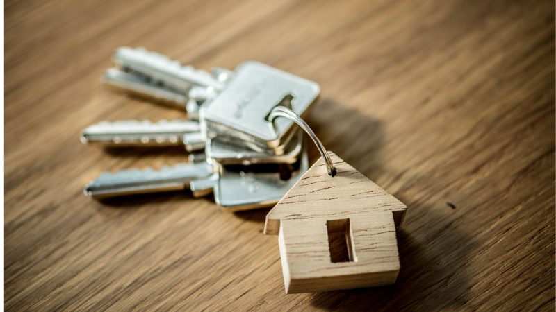 xr:d:DAGAgonYi40:2,j:7953779716282086825,t:24032510