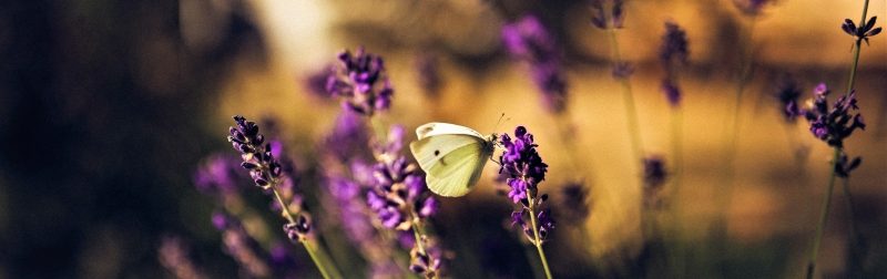 WhatsApp-Image-2020-11-20-at-14.08.59