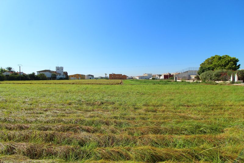 WhatsApp-Image-2021-07-12-at-18.14.18-1